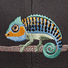 Clingin' Chameleon
